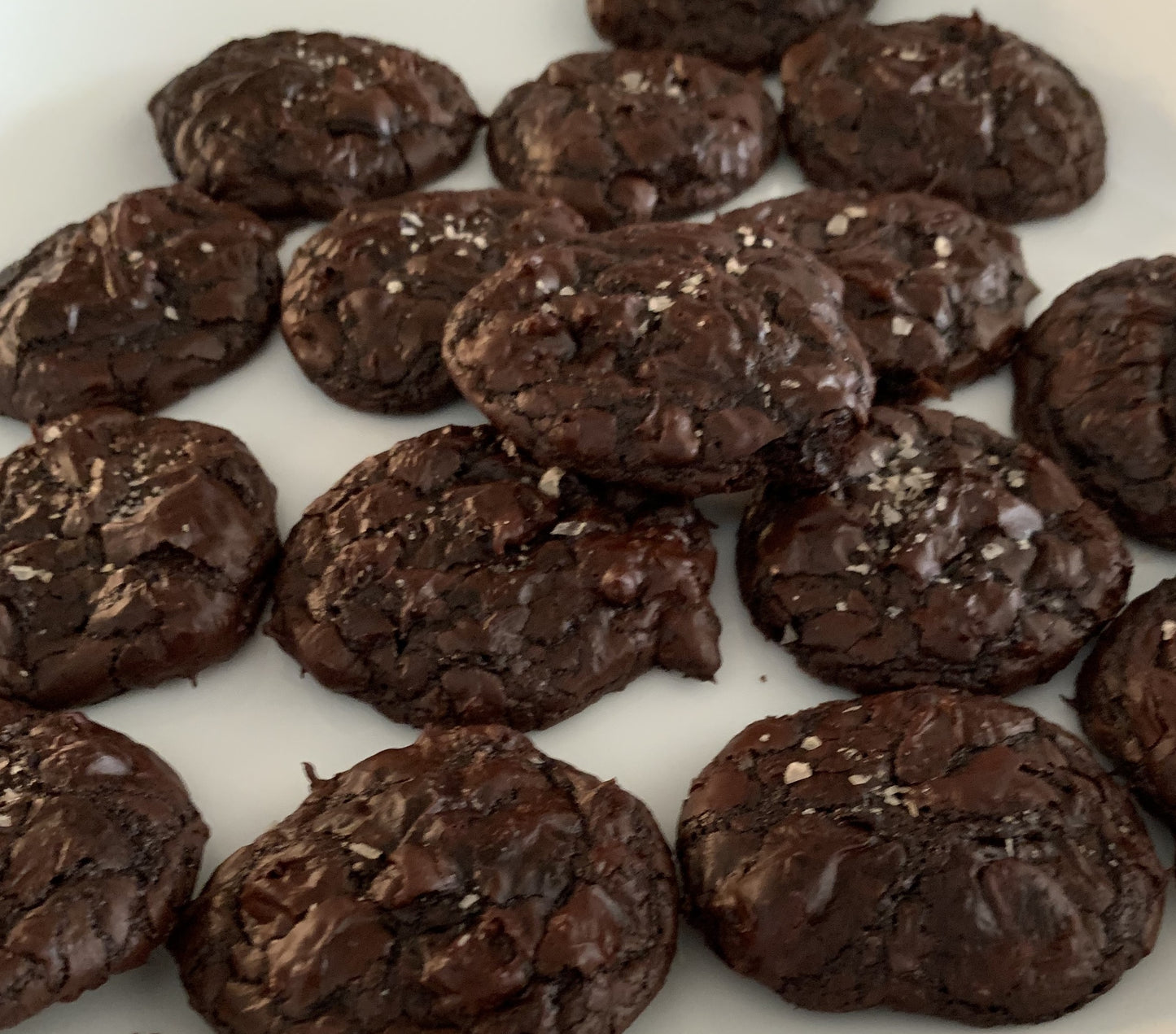 Chewy Chocolate Cookies (Gluten Free)